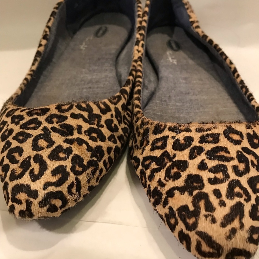 Leopard Flats - Picture 2 of 5